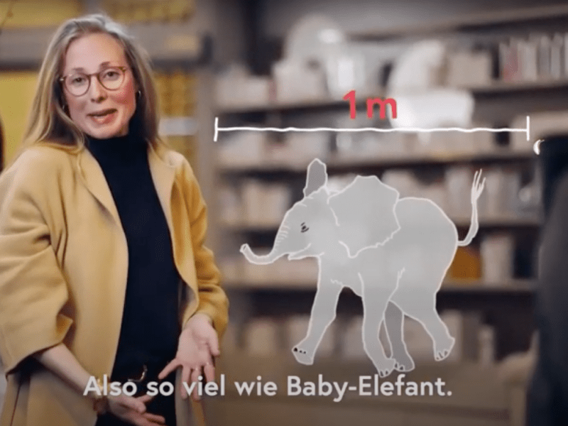 Von Elefanten und&nbsp;Viren