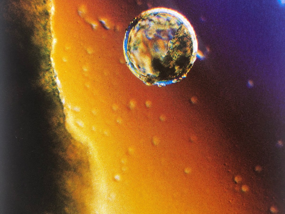 Warum in die Ferne&nbsp;schweifen…